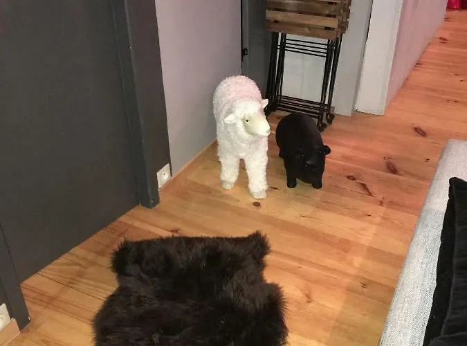 Grand 2 A 8 Personnes * Cauterets